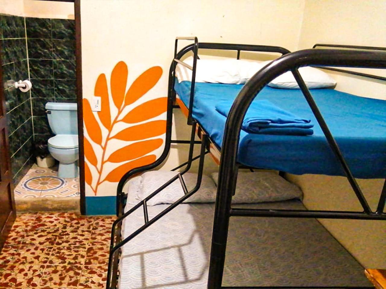 Hostal El Rio León Kültér fotó