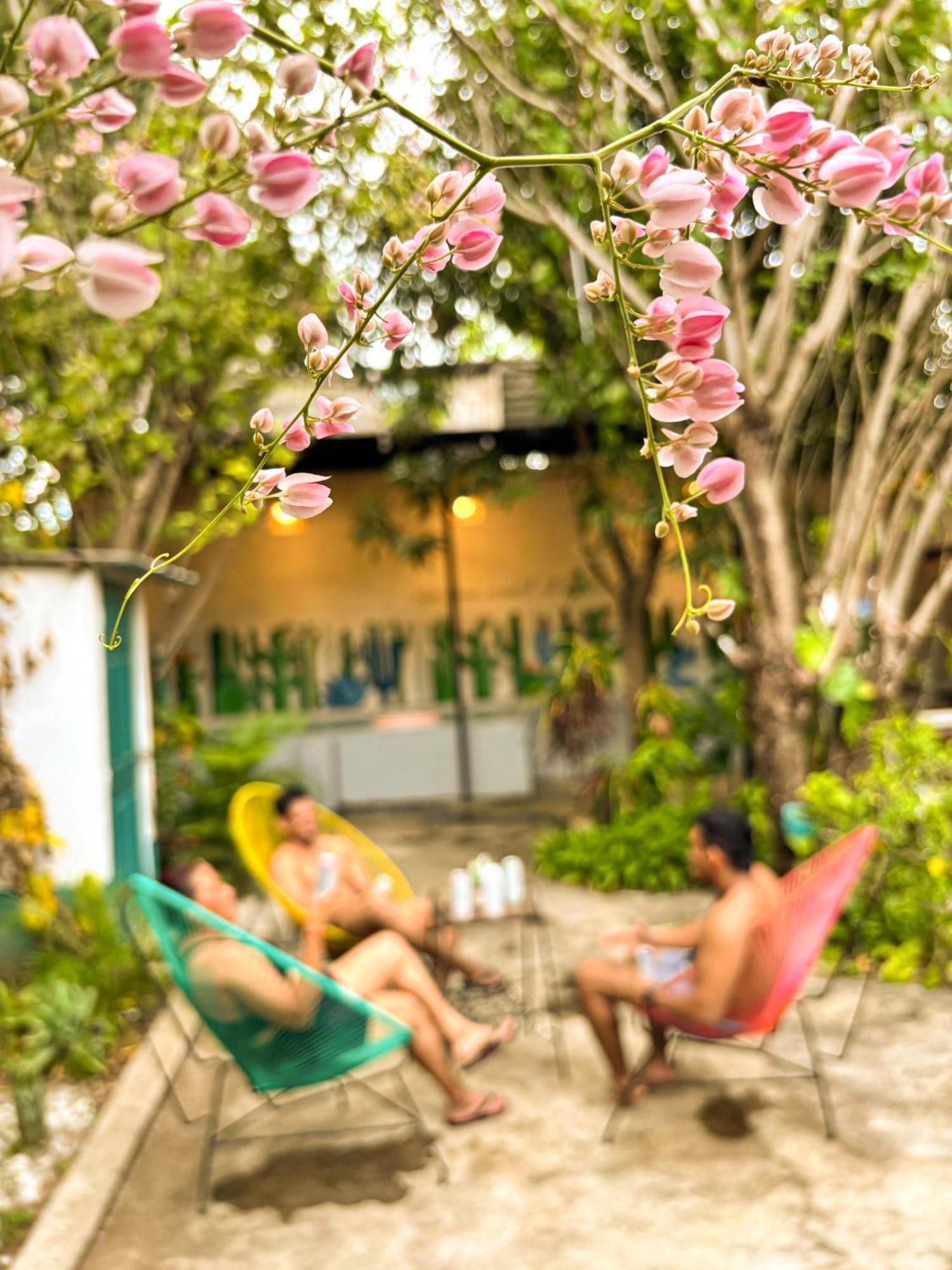 Hostal El Rio León Kültér fotó